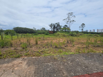 Terreno - Venda - Nossa Senhora da Paz - Balneário Piçarras - SC